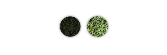 gyokuro vs sencha leafs