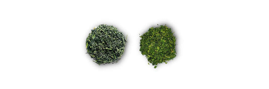 tencha vs gyokuro