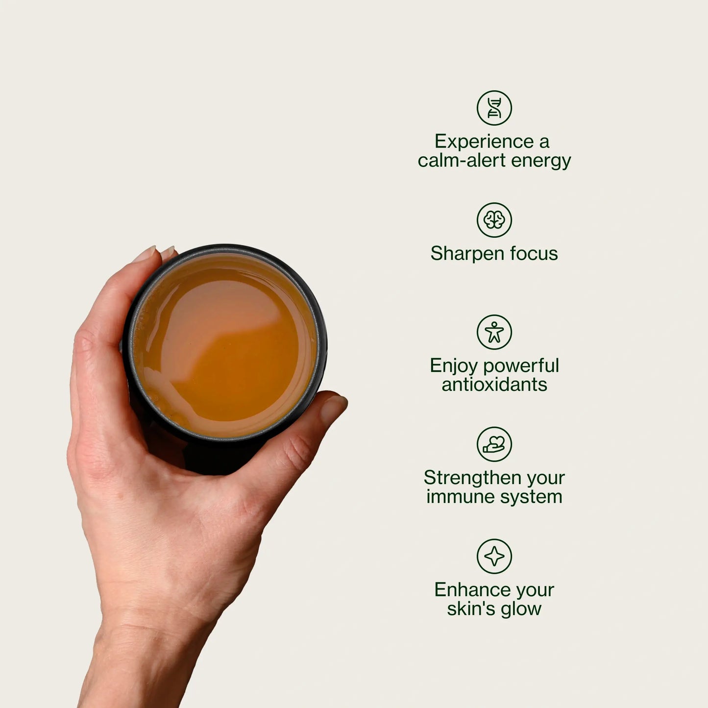 Hojicha gerösteter Tee