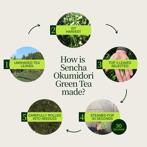 Sencha Okumidori Grüner Tee