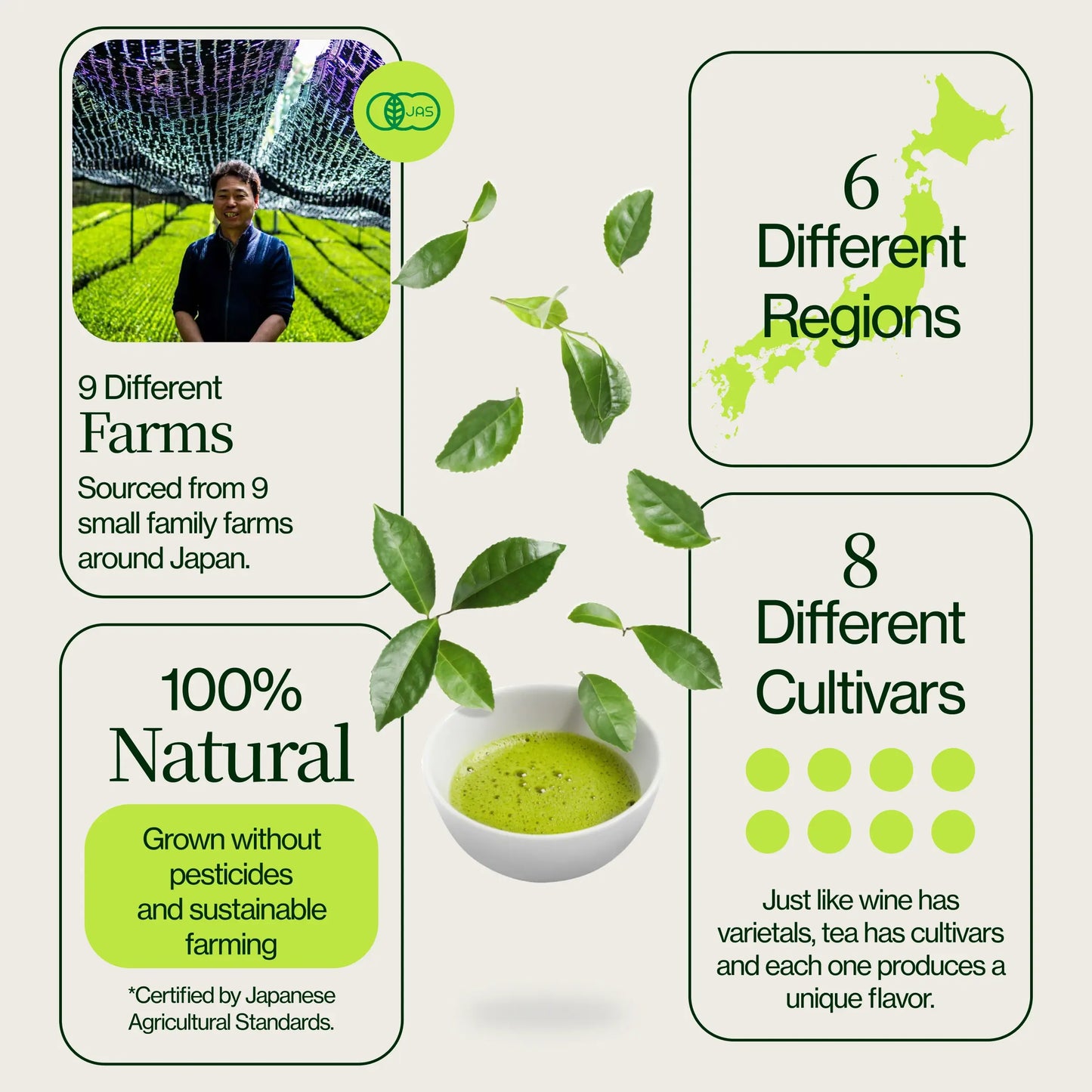 Matcha-Tee-Sampler (21er-Pack)