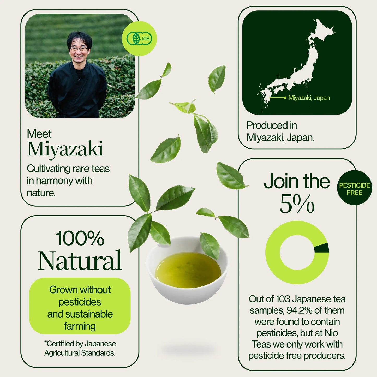 Hojicha gerösteter Tee