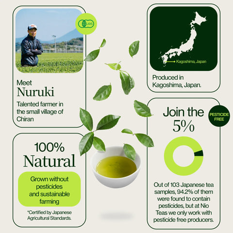 Premium-Matcha Chiran Grüner Tee