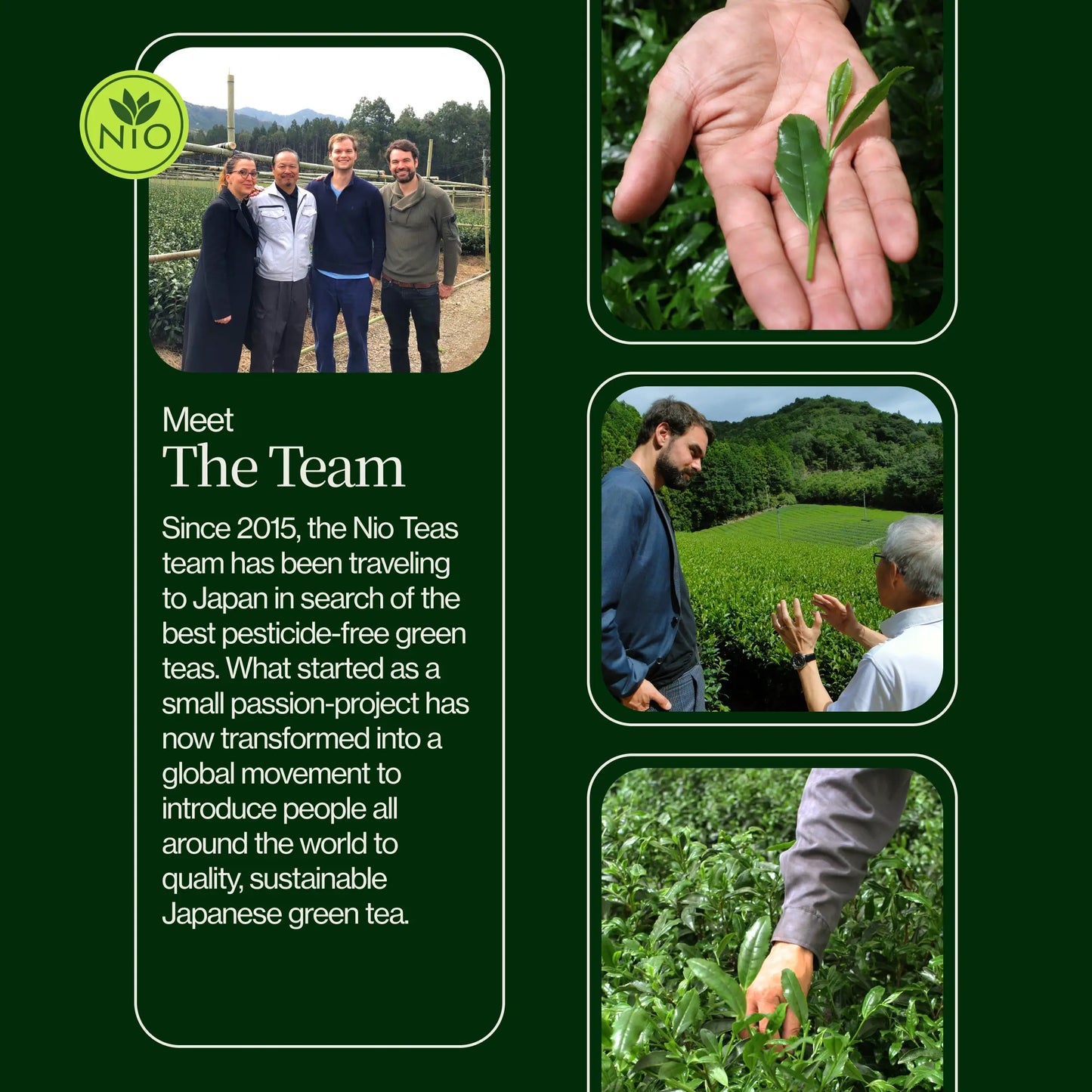 Premium-Matcha-Latte-Pulver