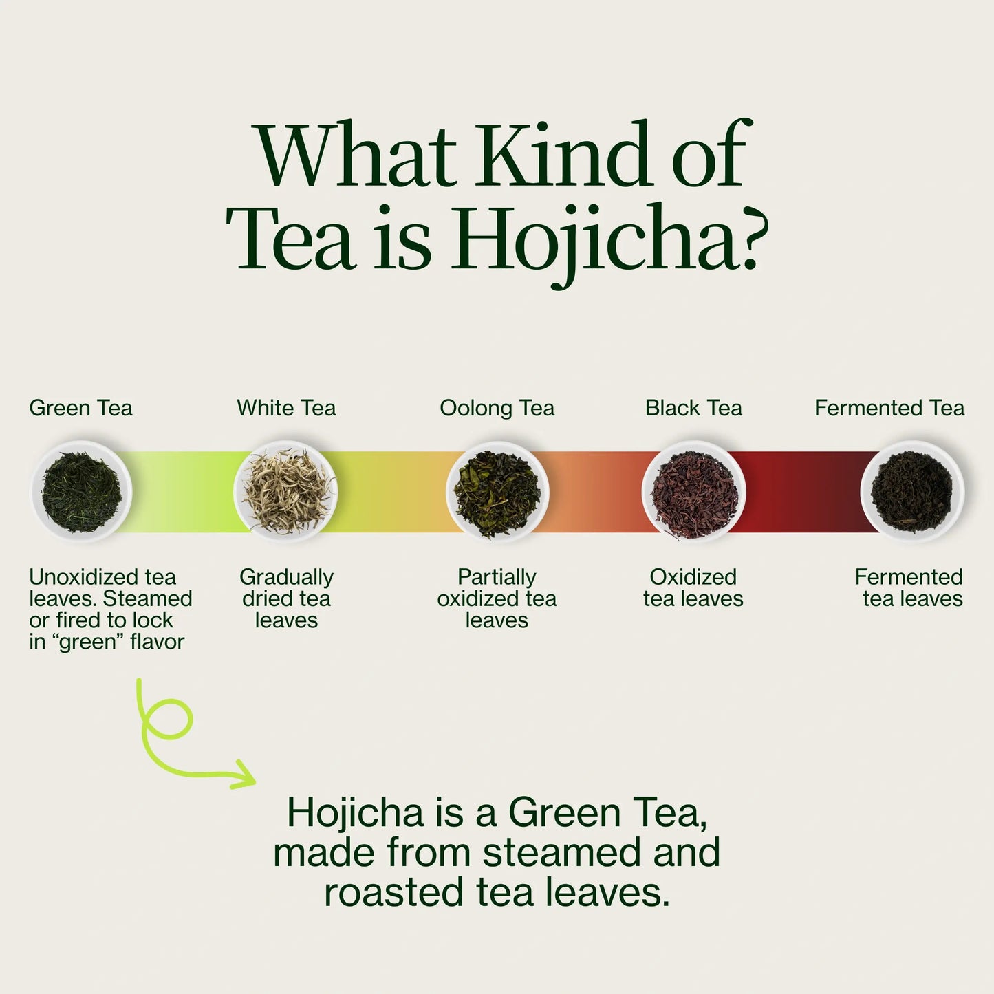 Hojicha gerösteter Tee
