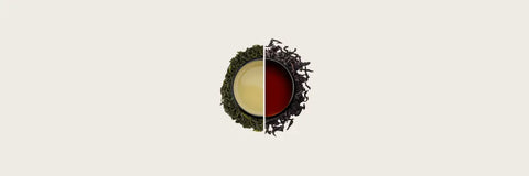 Oolong Tea vs Black Tea