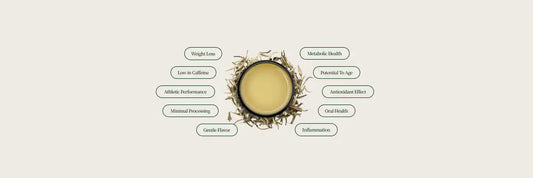 10 White Tea Benefits You Didn’t Know About