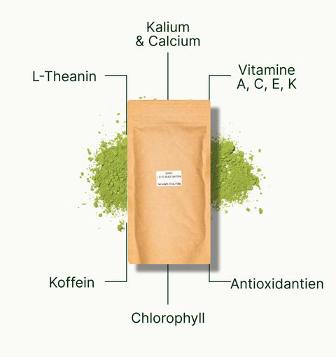 6ad63b6a23ec8_nio_teas_latte_matcha_basic_grade_superfood_de.webp