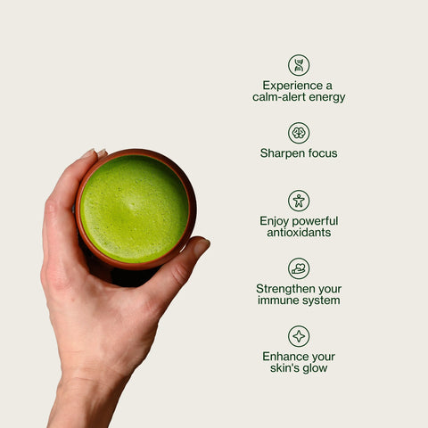 Kyoto Matcha Masudaen