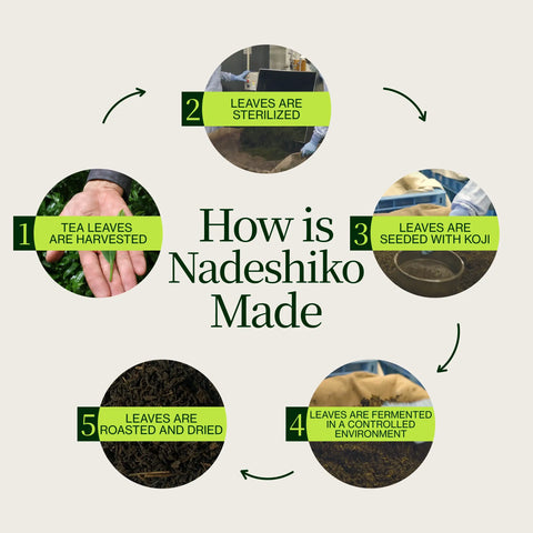 Nadeshiko Rose Japanischer fermentierter Tee