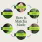 Zeremonieller Washimine-Matcha-Tee