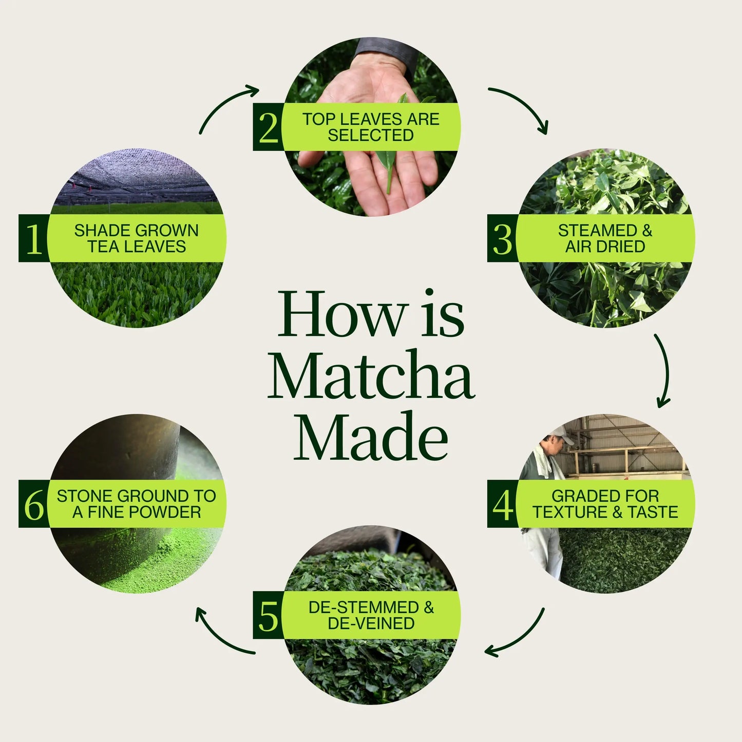 Zeremonieller Washimine-Matcha-Tee