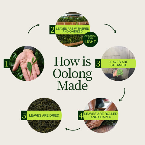 Miyazaki Hochgebirgs- Oolong Tee