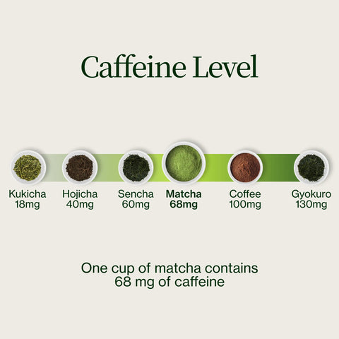 Kyoto Matcha Masudaen