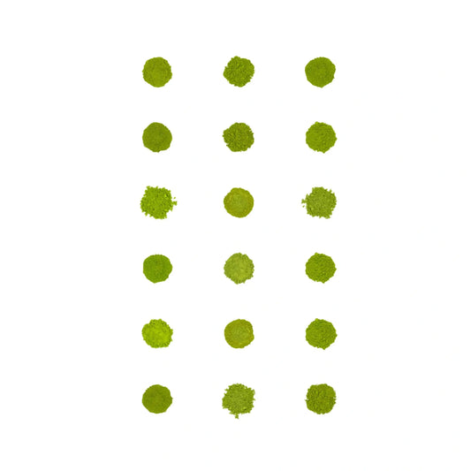 Matcha-Probierset 18er-Pack