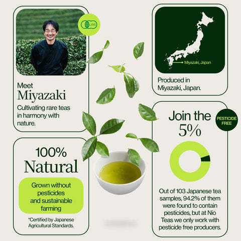 Miyazaki Hochgebirgs- Oolong Tee