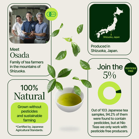 Gokou Matcha Koiai