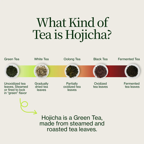 Gerösteter Hojicha -Grüntee Noike