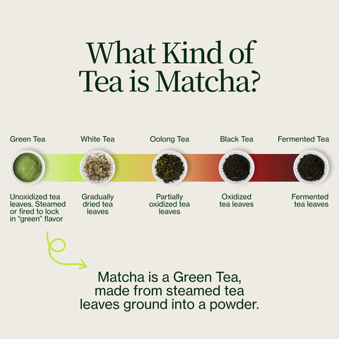 Kyoto Matcha Masudaen