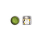 Monatlicher Matcha-Club mit kostenlosem Matcha-Schneebesen und Chashaku